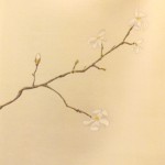 magnolia - Julie Deljehier - espaces au singulier